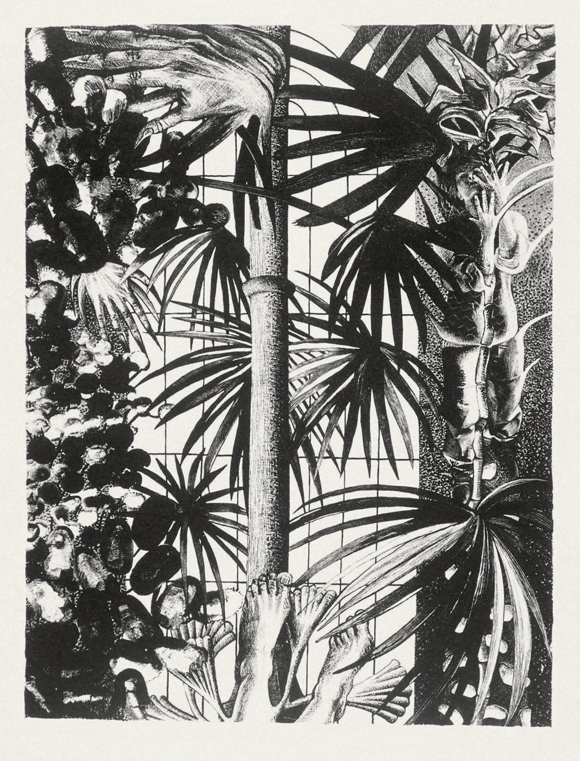 Anne Desmet R.A., Edinburgh Botanical Gardens, 1986