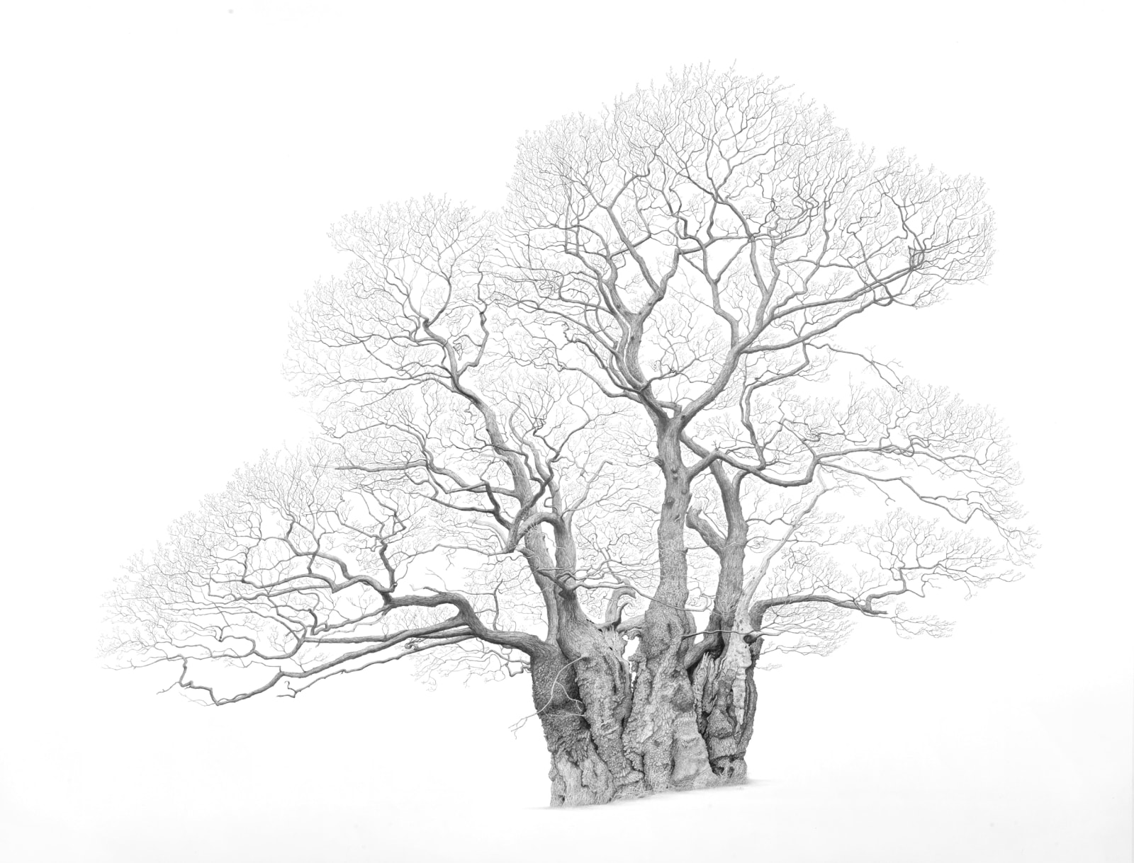 Mark Frith, Gospel Oak, print