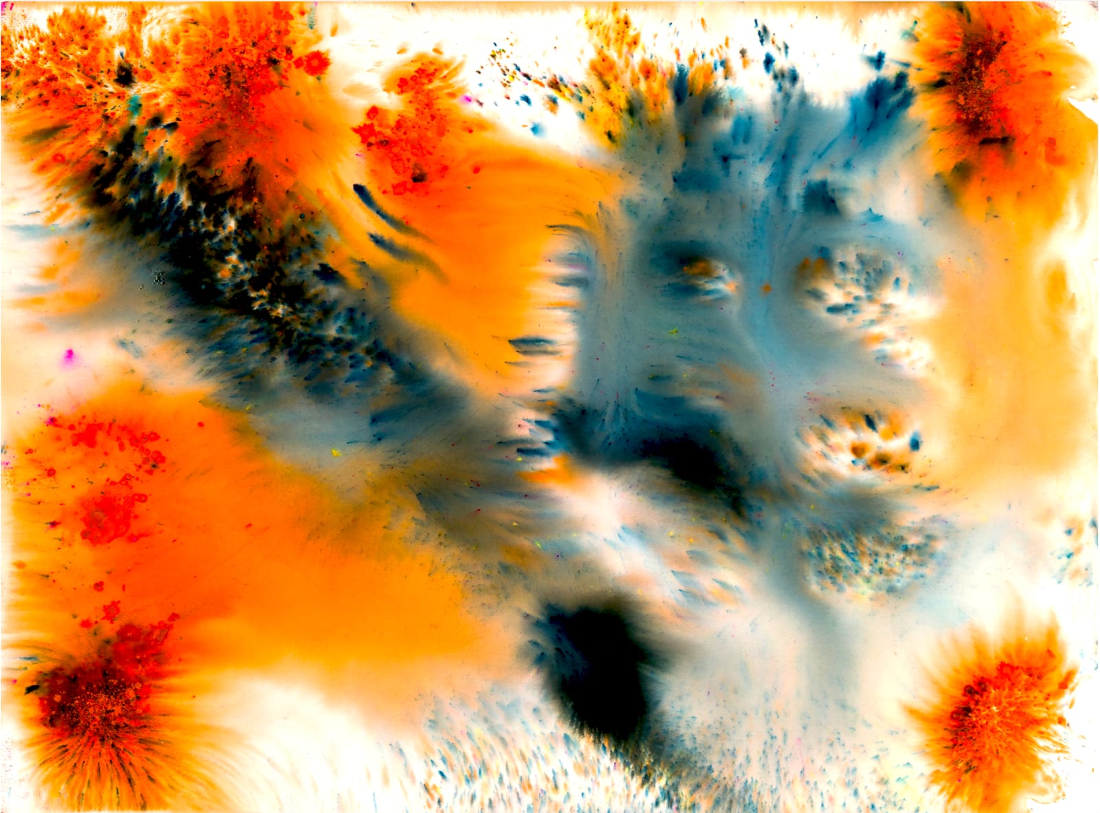 Coty Cisne, Minnow, 2020