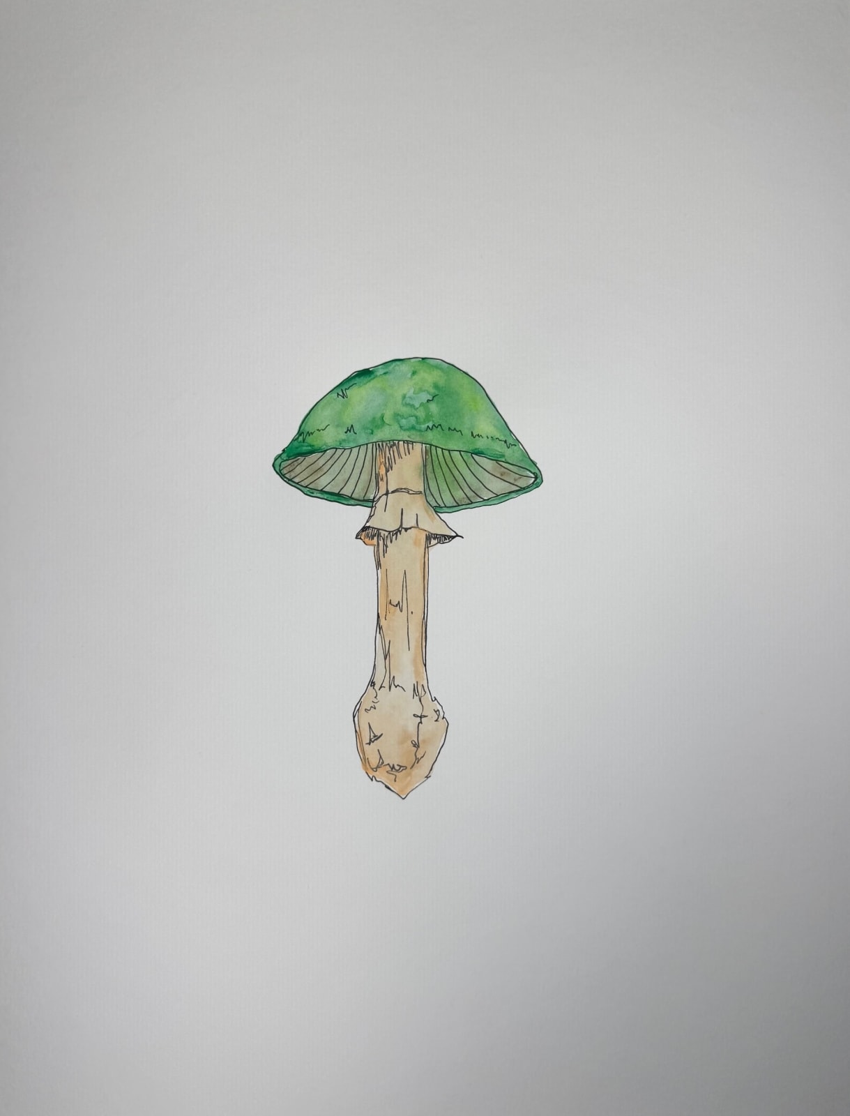 Bari-Lynn Friedlander, Green Mushroom, 2025