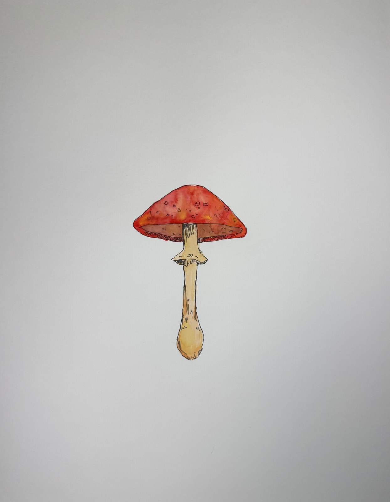 Bari-Lynn Friedlander, Red Mushroom, 2025