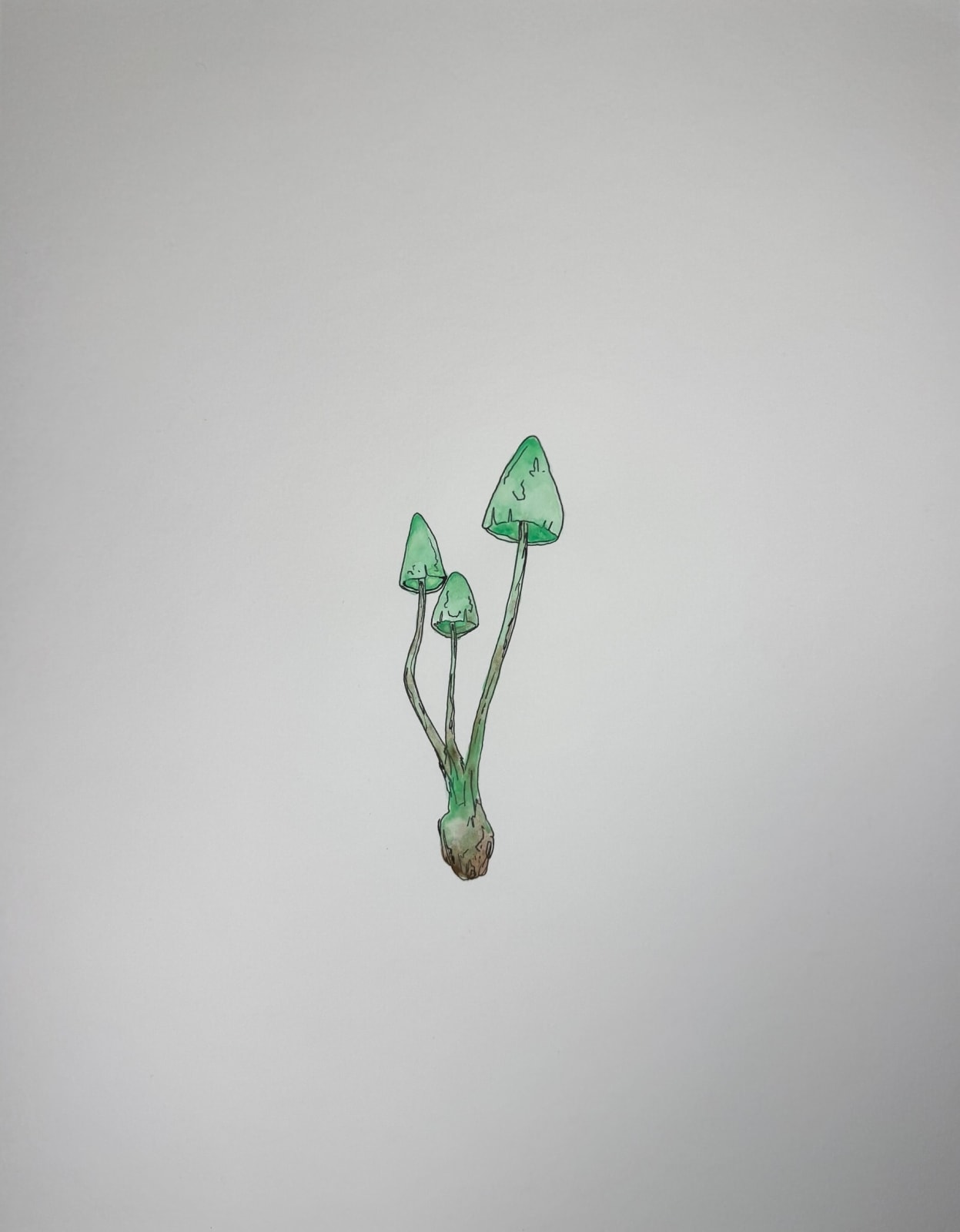 Bari-Lynn Friedlander, Green Mushrooms, 2025