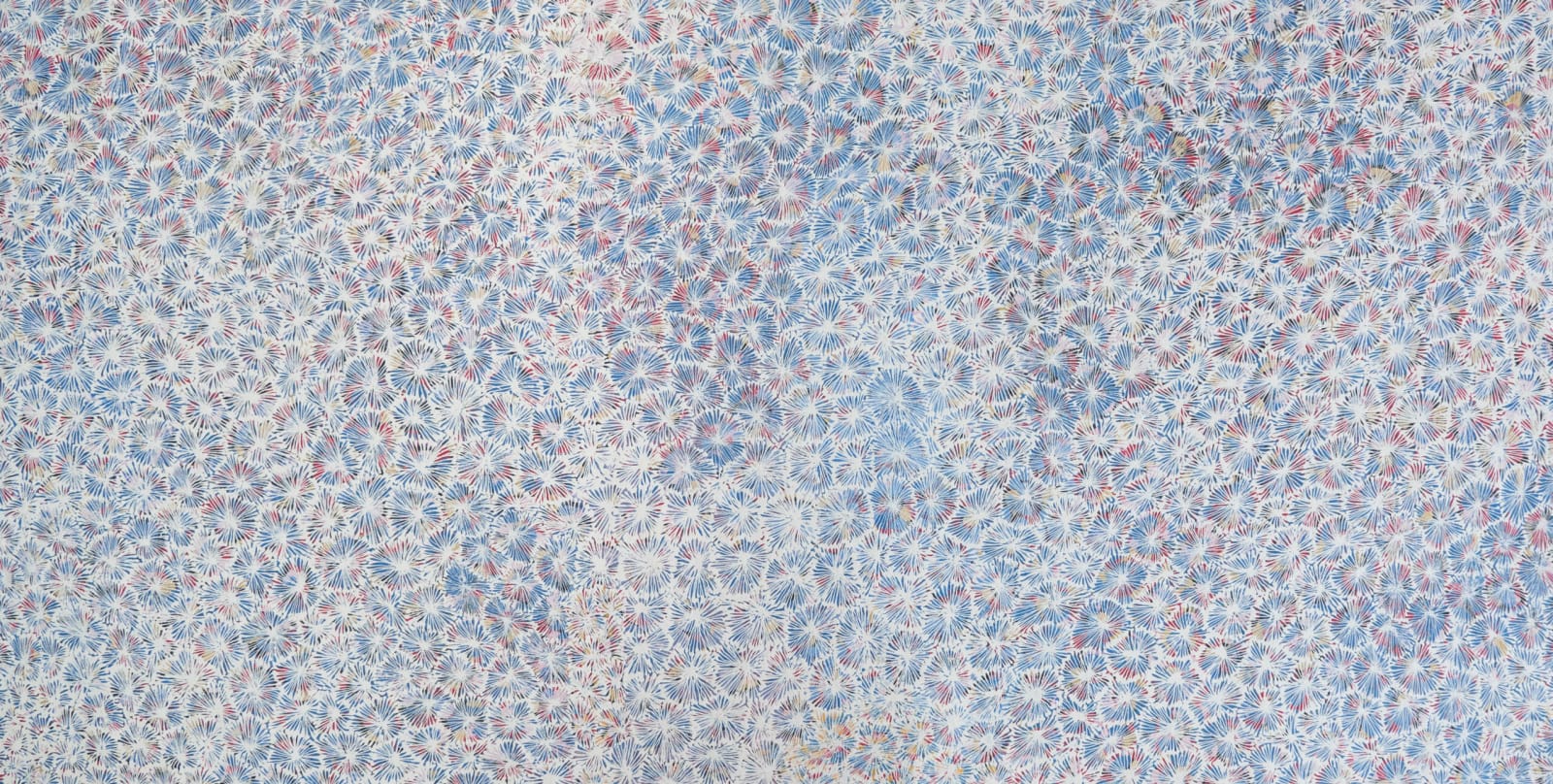 Ruby Morton Kngwarrey, Sweet Honey Grevillea by Ruby Morton Kngwarrey, 2021