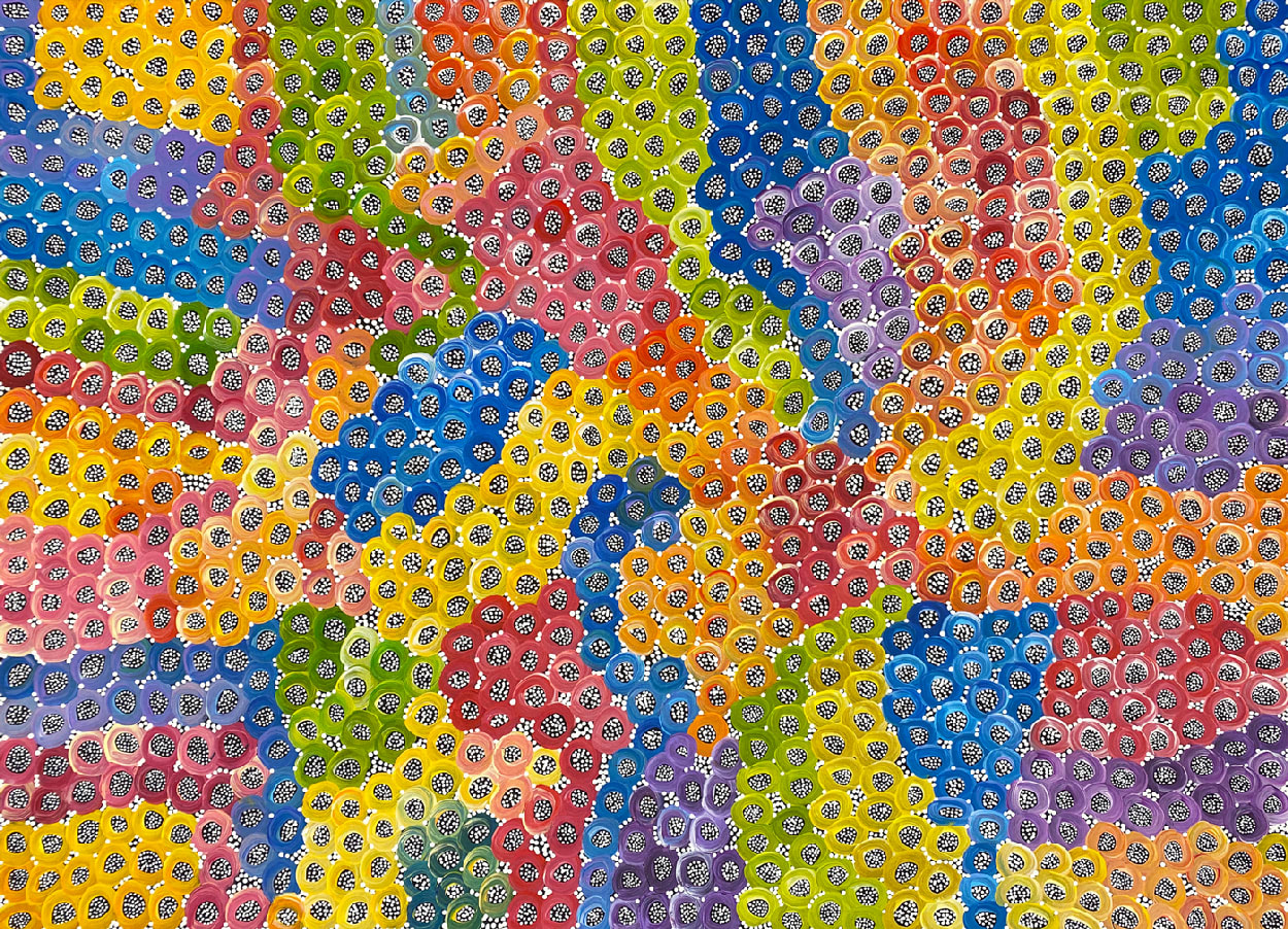 Bush Tomato Dreaming by Janet Golder, 2022