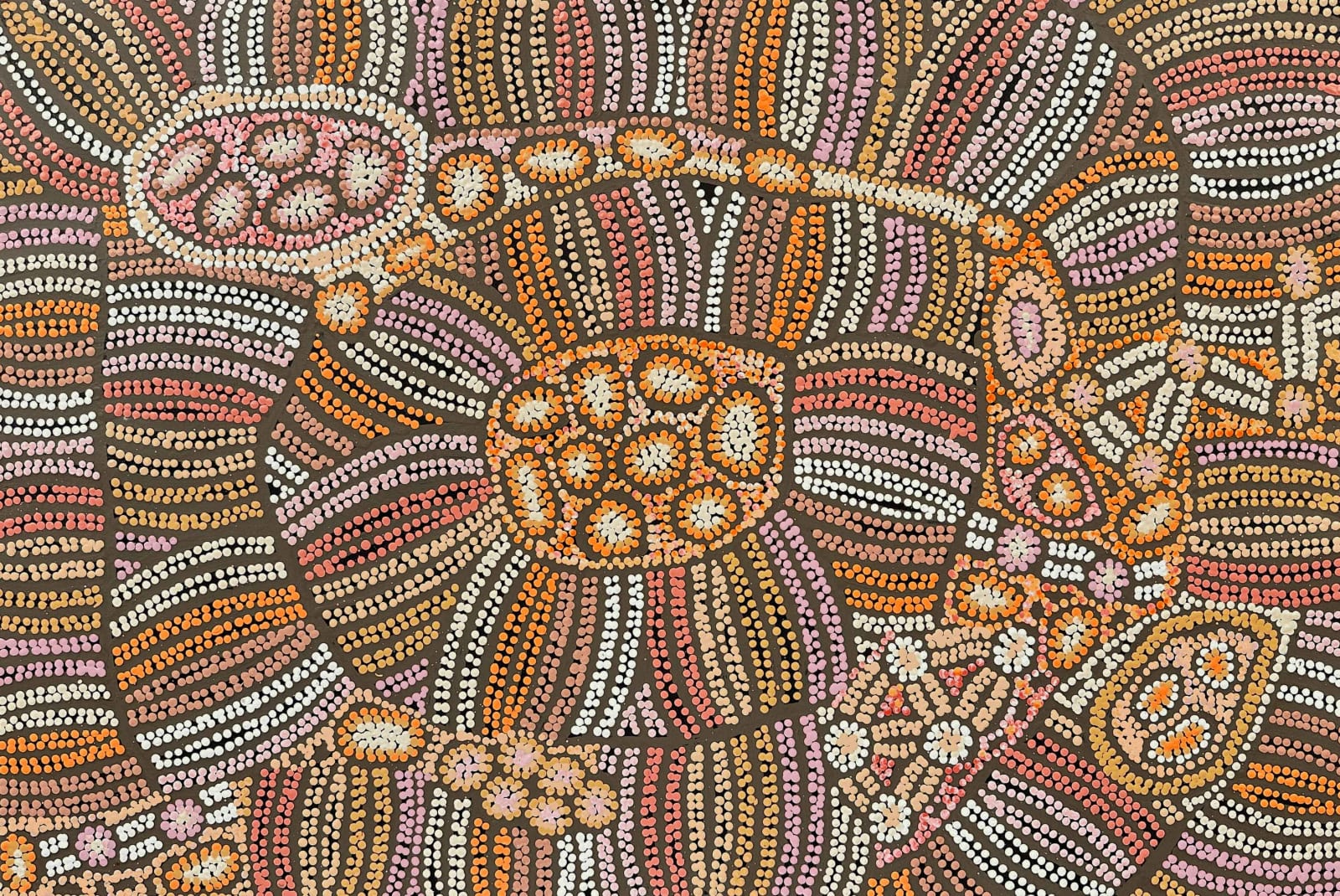Esther Bruno Nangala, Bush Raisin Dreaming by Esther Bruno Nangala, 2023