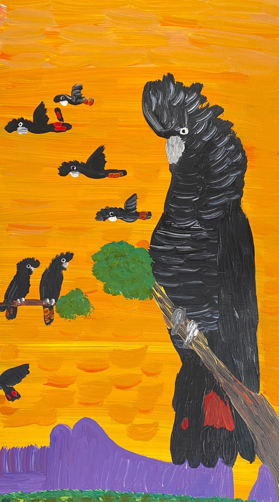 Red-tailed Black Cockatoos at Sunset by Kukula McDonald