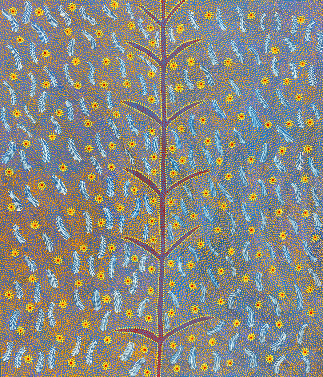 Bush Medicine (Alpar) by June Bird Ngale