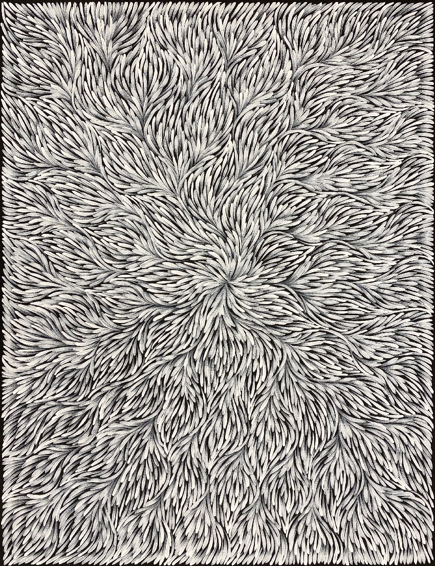 Bush Medicine Leaves by Patricia Kamara, 2023