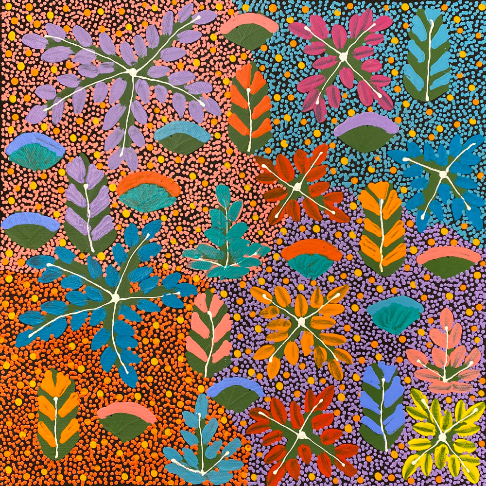 Bush Medicine by Nakita Inkamala, 2025