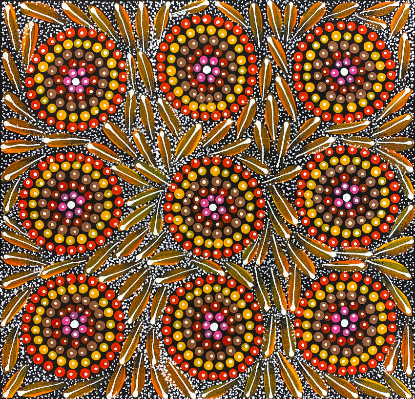 Bush Medicine and Wild Bush Flowers by Louise McMillan, 2025