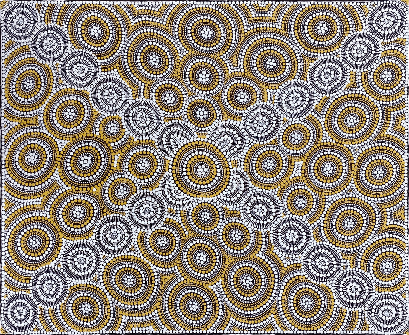 Bush Damper Seed Dreaming by Lynette Williams