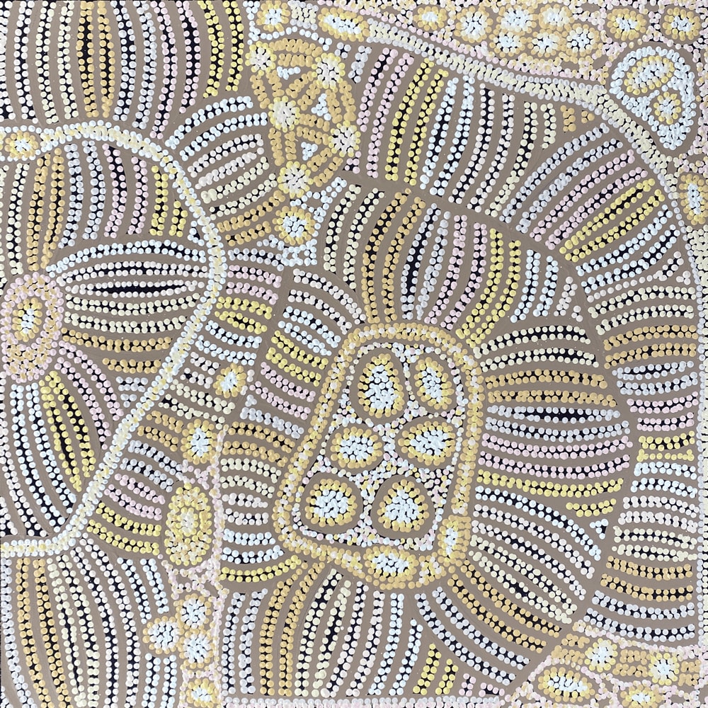 Bush Raisin Dreaming by Esther Bruno Nangala