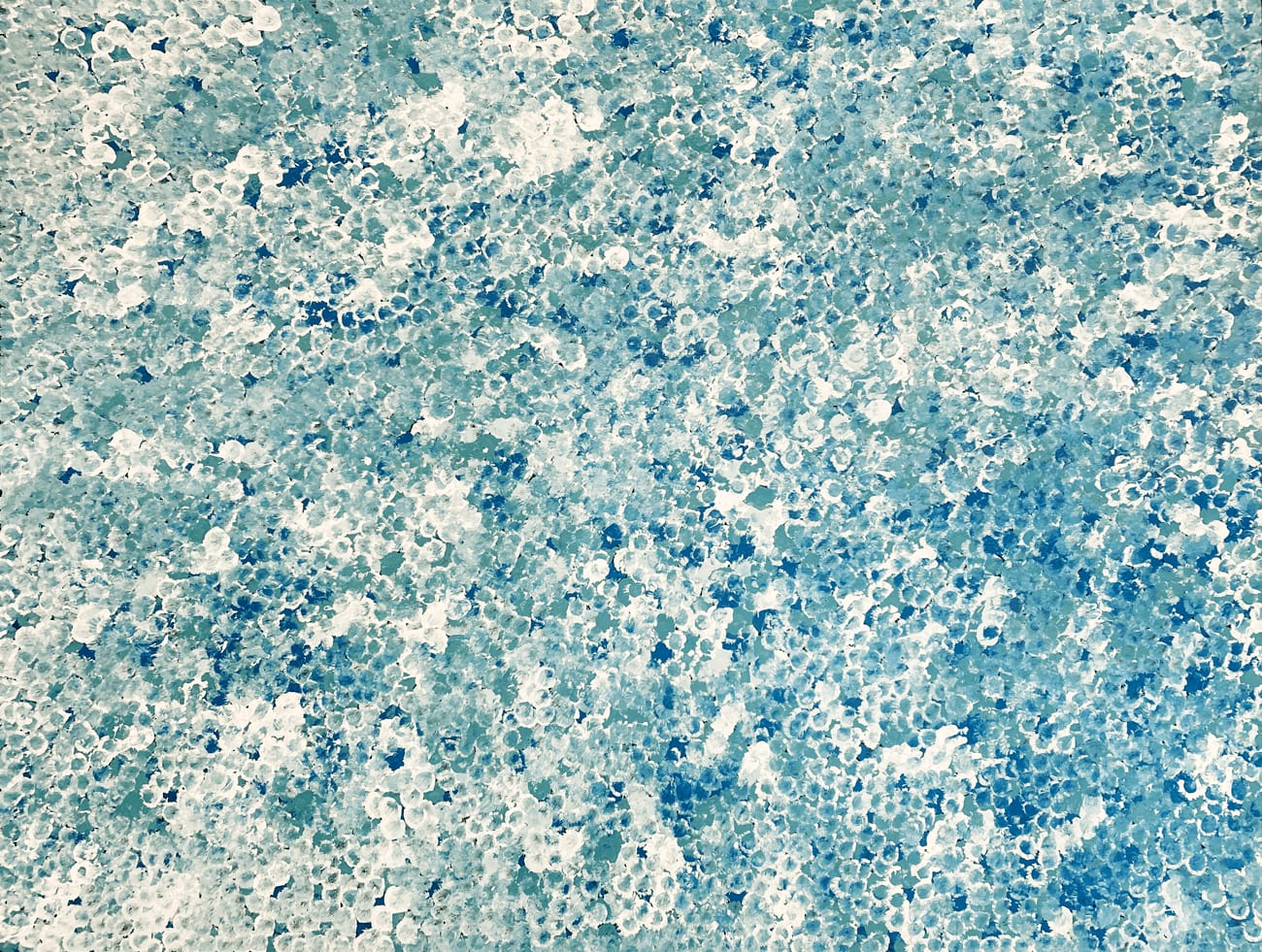 Bush Plum Dreaming by Belinda Golder Kngwarreye, 2021, acrylic on linen, 90 x 120cm