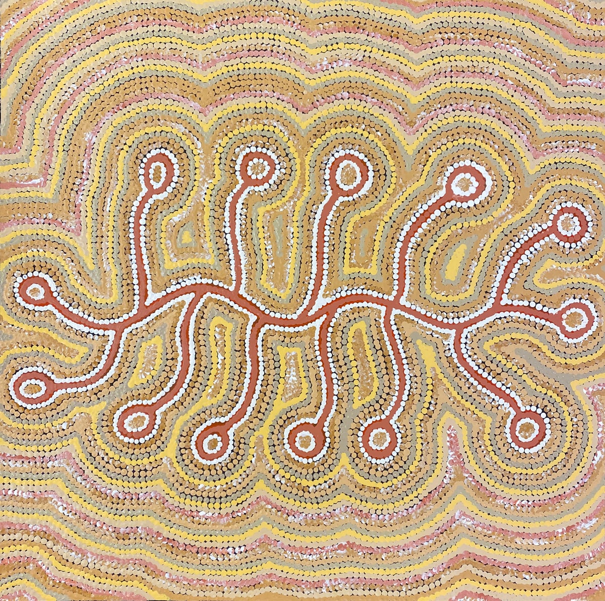 Bush Onion Story by Gail Napangati