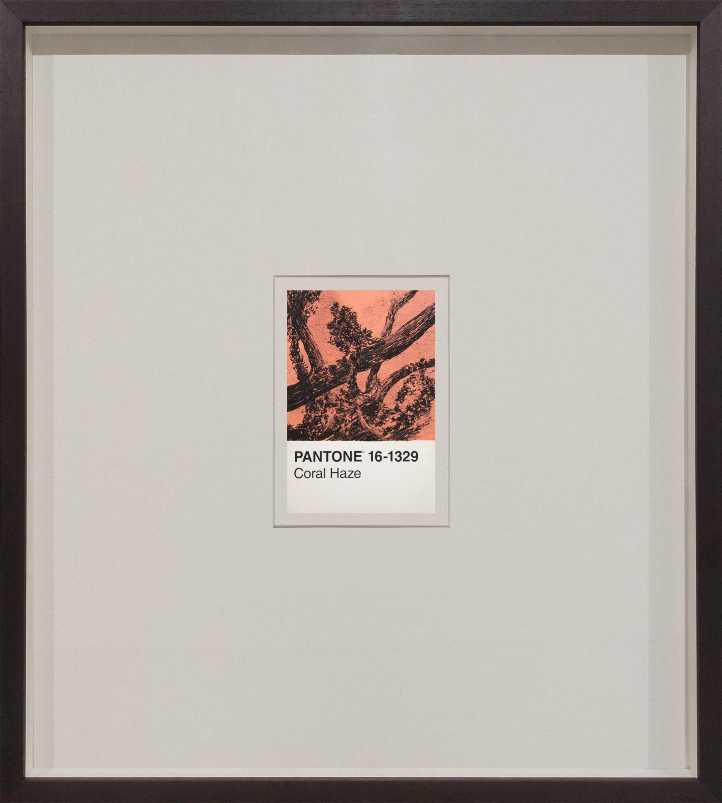 António Faria, PANTONE 16-1329 Coral Haze, 2024