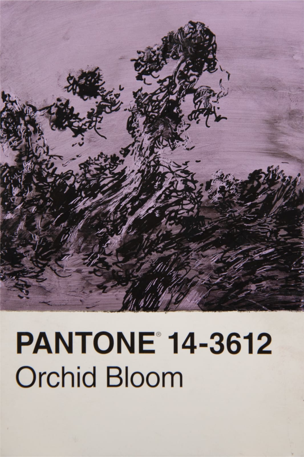 António Faria, PANTONE 14-3612 Orchid Bloom, 2024