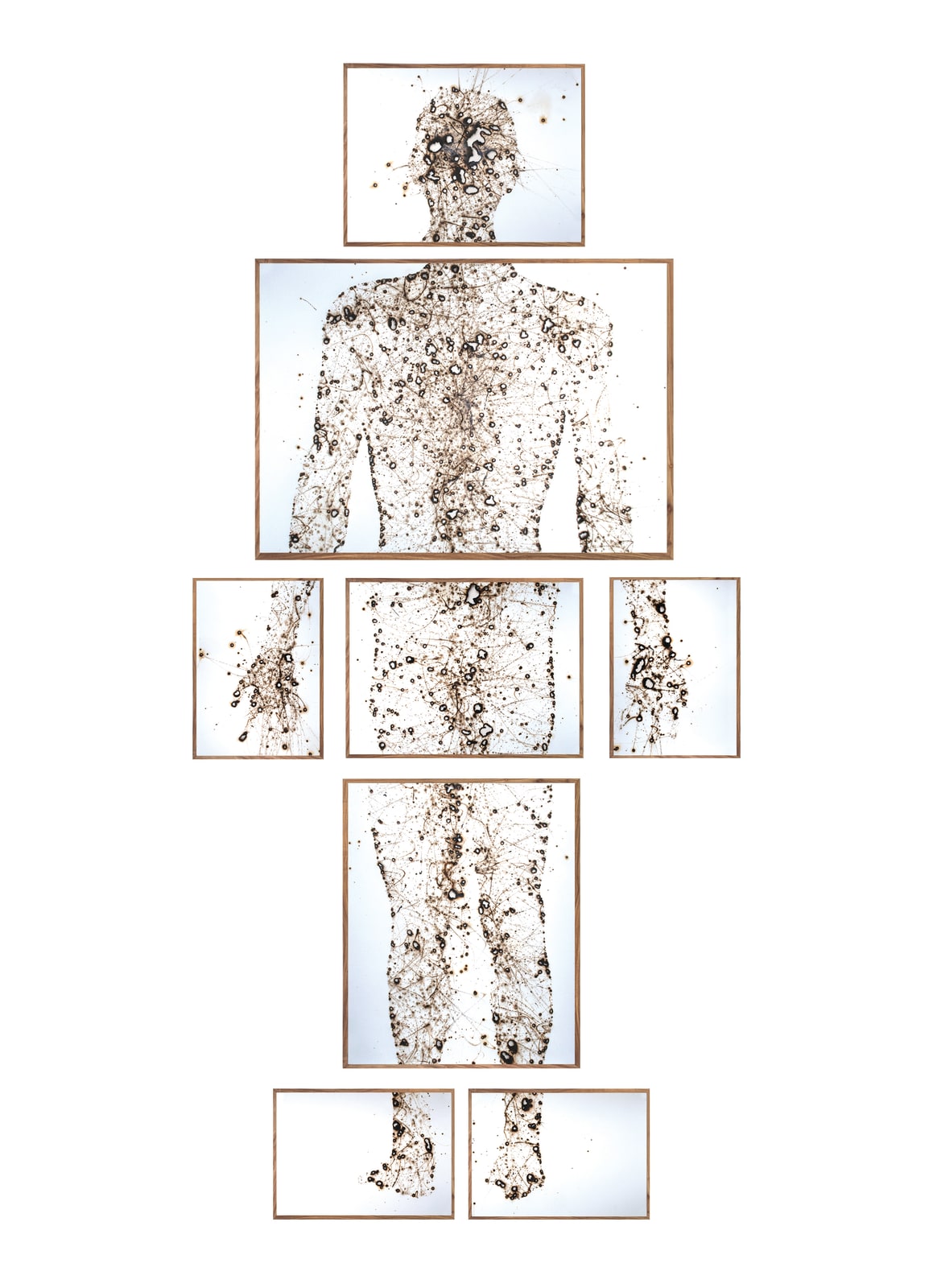 Pedro Pires, Fractional, 2022