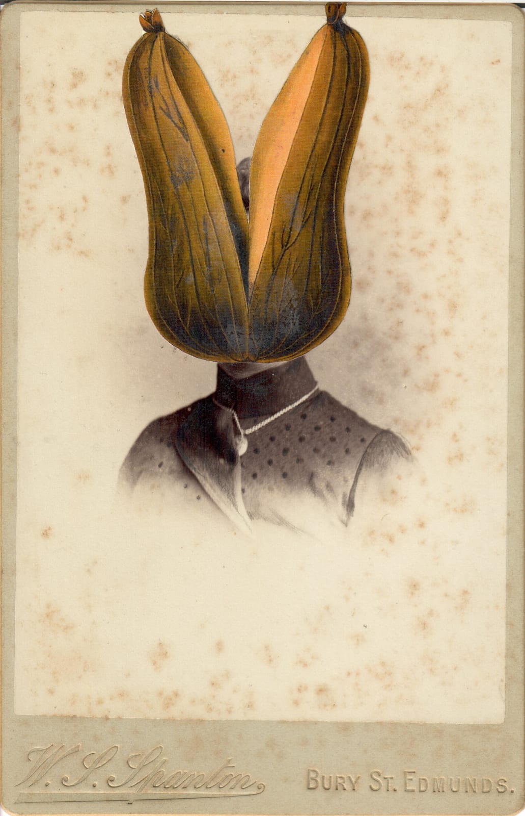 Alida Rodrigues, Rubiacea - The Secret History of Plants, 2019