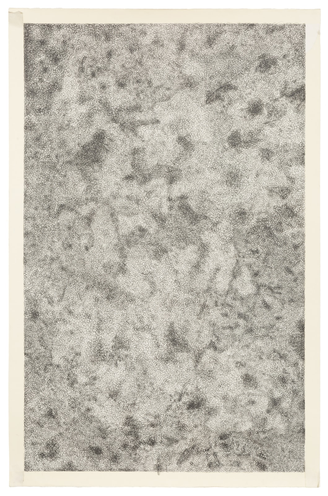 Mariana Dias Coutinho, Boundery layers, 2016