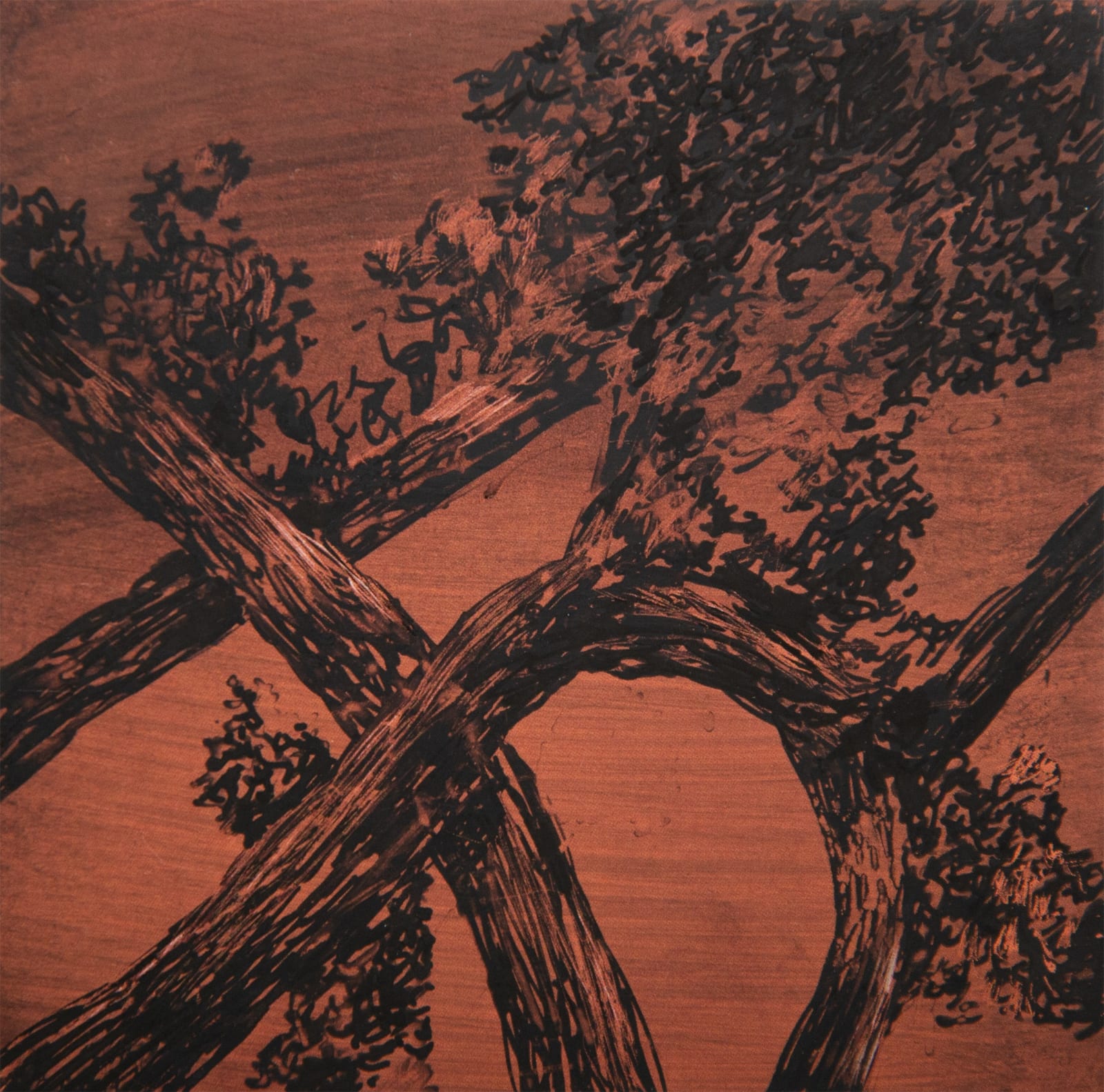 António Faria, PANTONE 17-1436 Raw Sienna, 2024