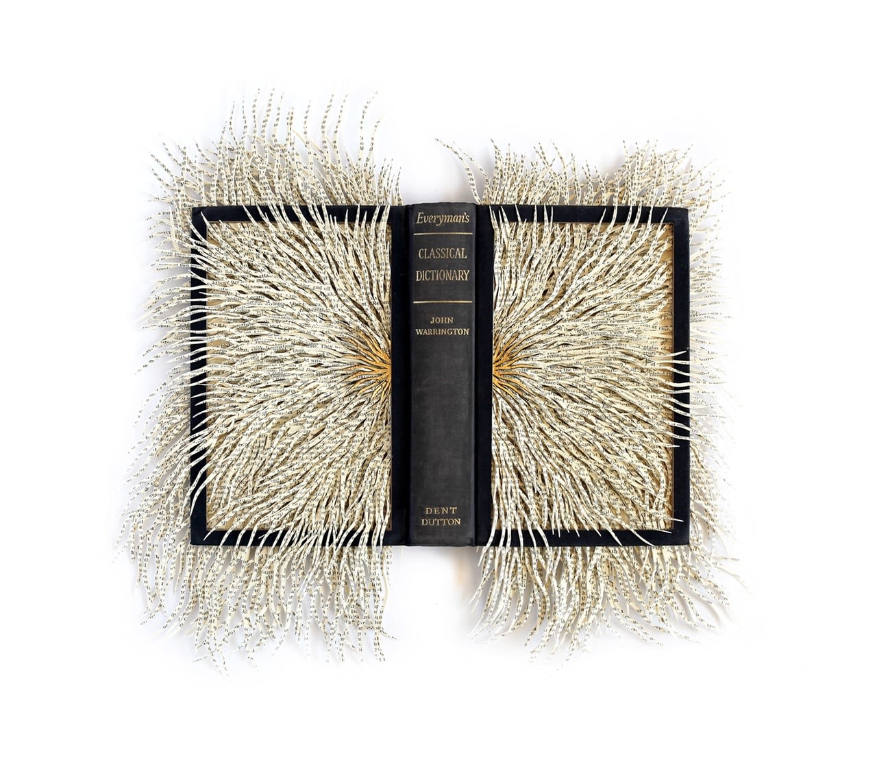 Barbara Wildenboer, Classical Dictionary, 2022
