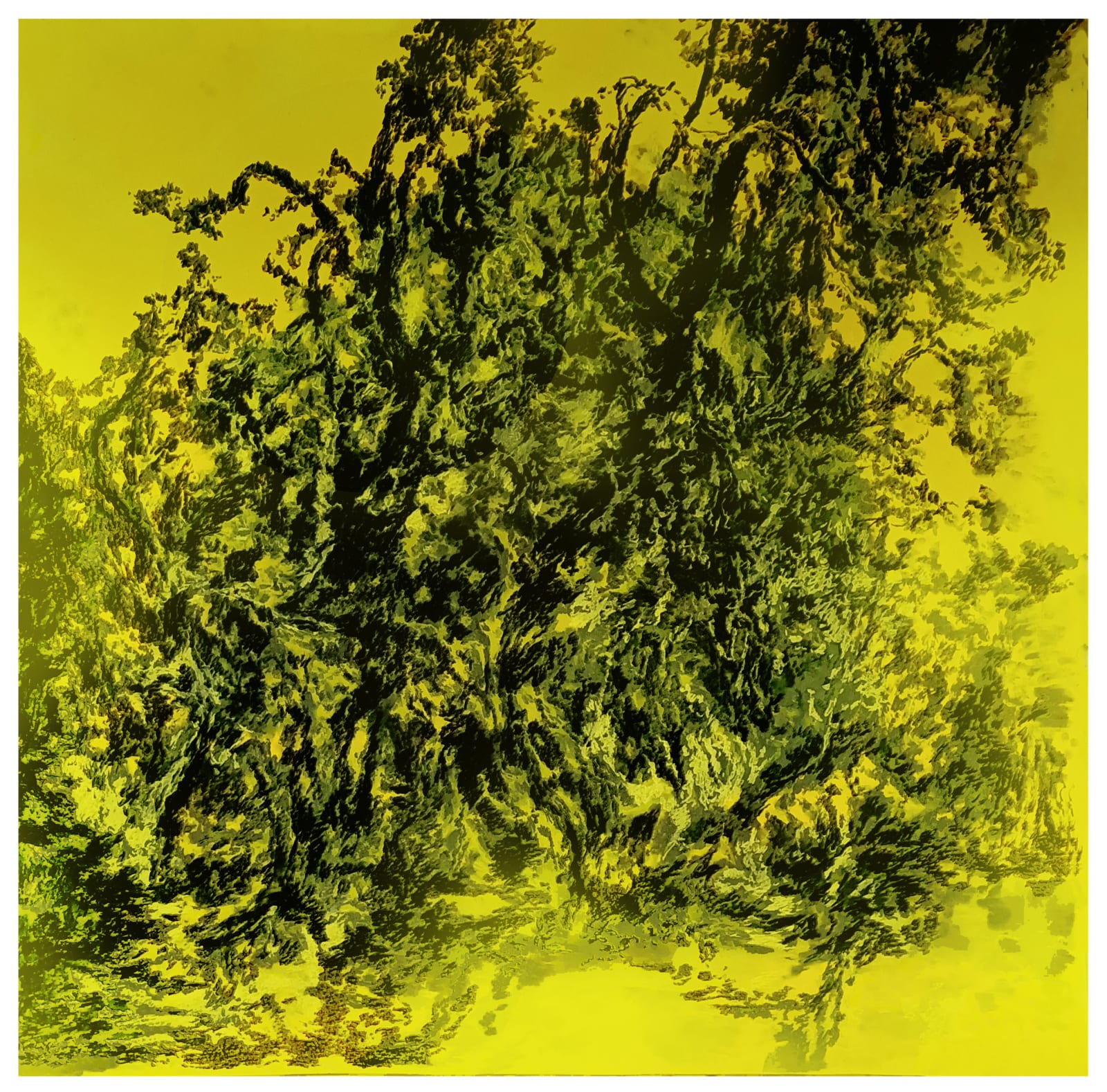 António Faria, Untitled, 2023