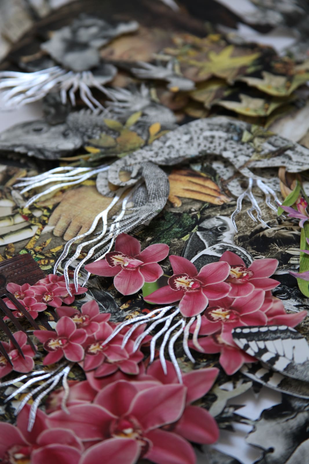 Barbara Wildenboer, Provenance II, 2022