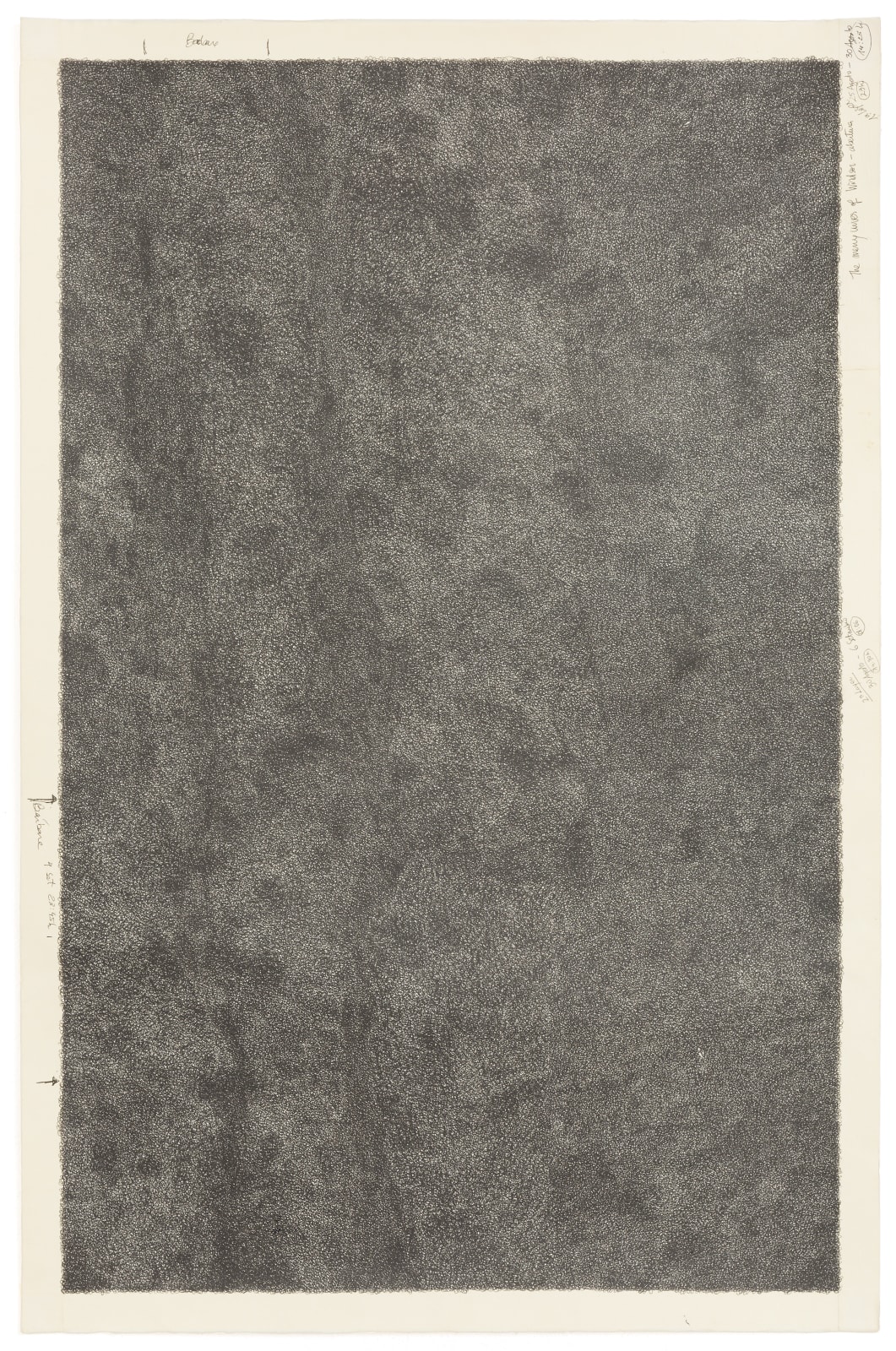 Mariana Dias Coutinho, Untitled #2, (série Boundary layers), 2016