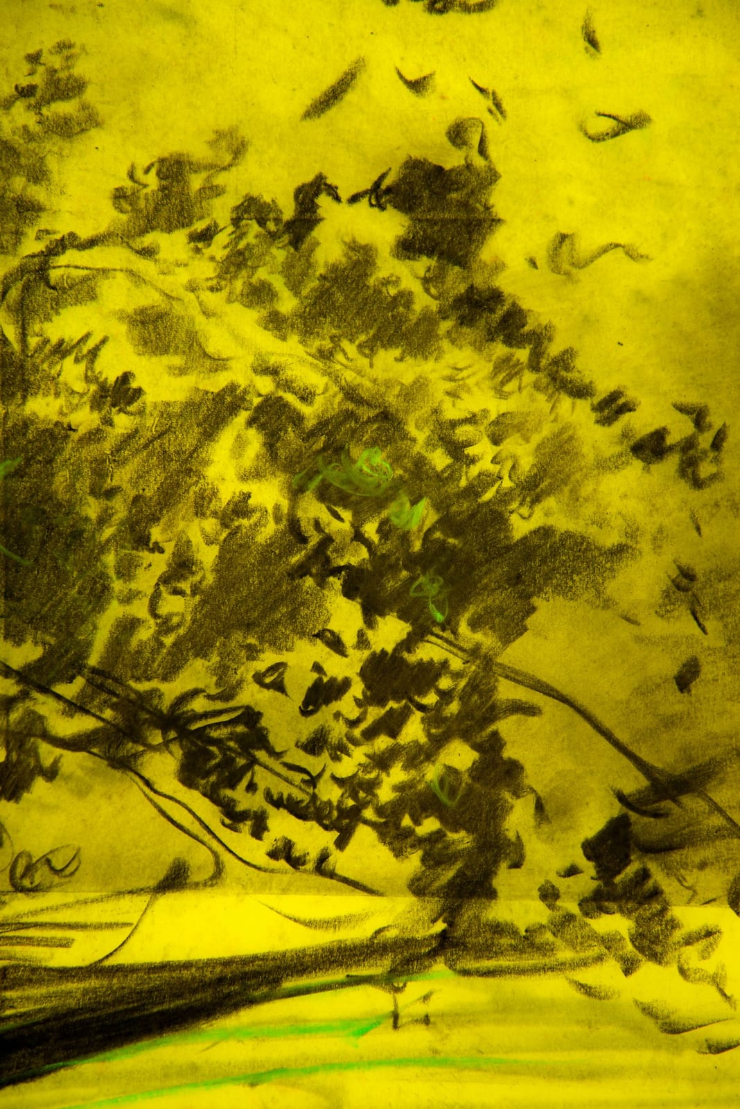 António Faria, A Fuga I , 2024