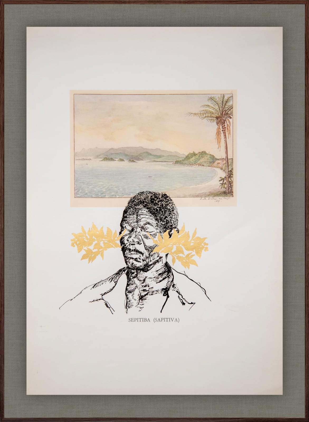 Cássio Markowski, #04 - Série Plantação , 2025