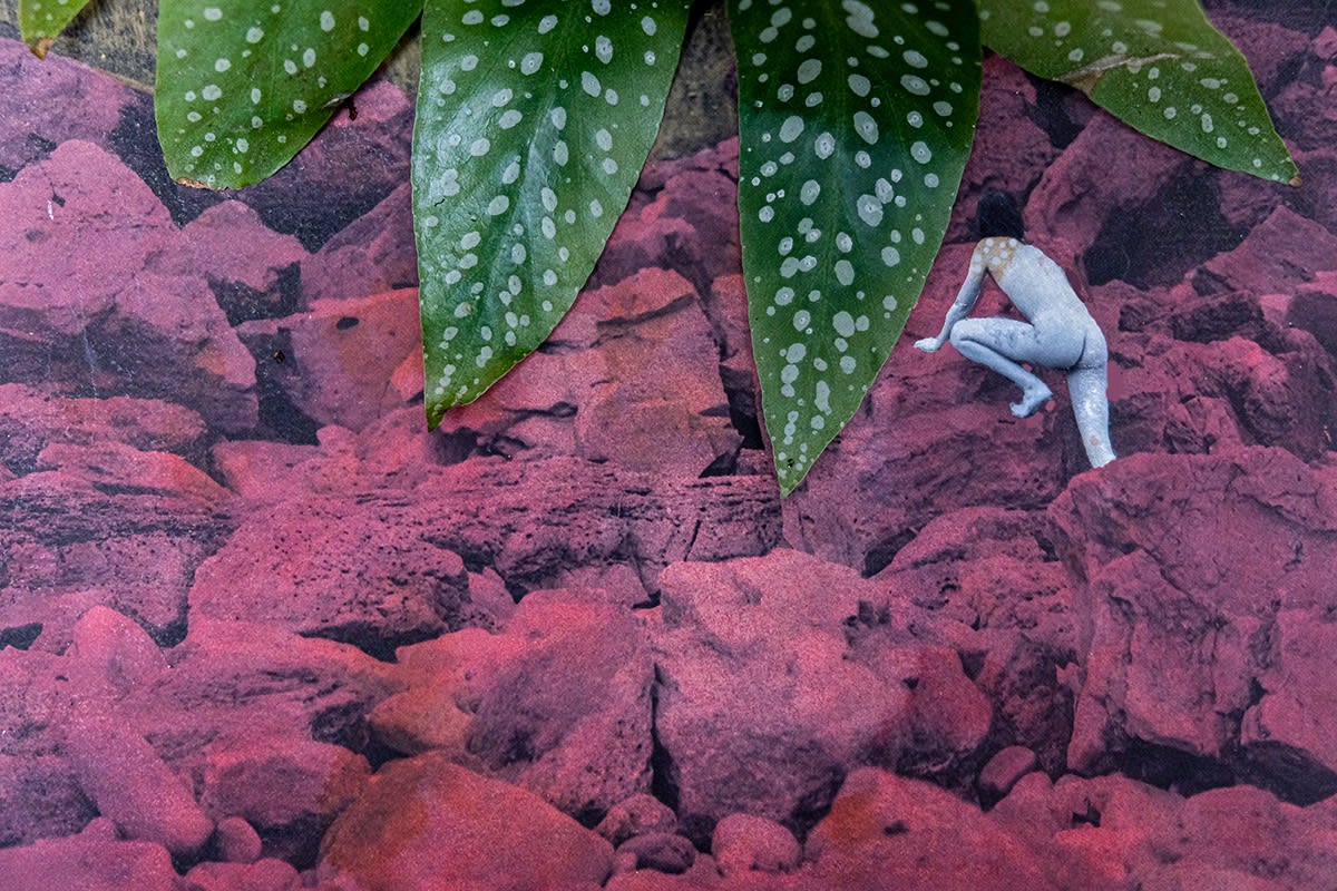 Sidonie Hadoux, Climbing (Series: Explorations), 2021