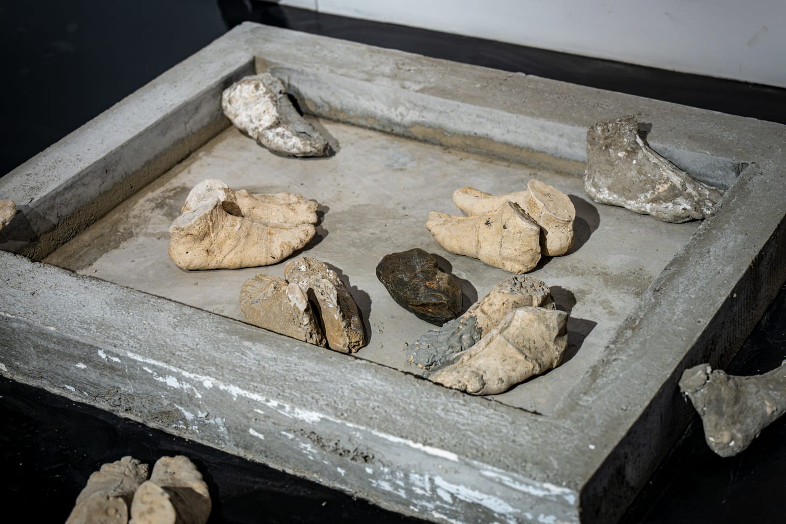 Eduardo Malé, Território Tangível, 2025