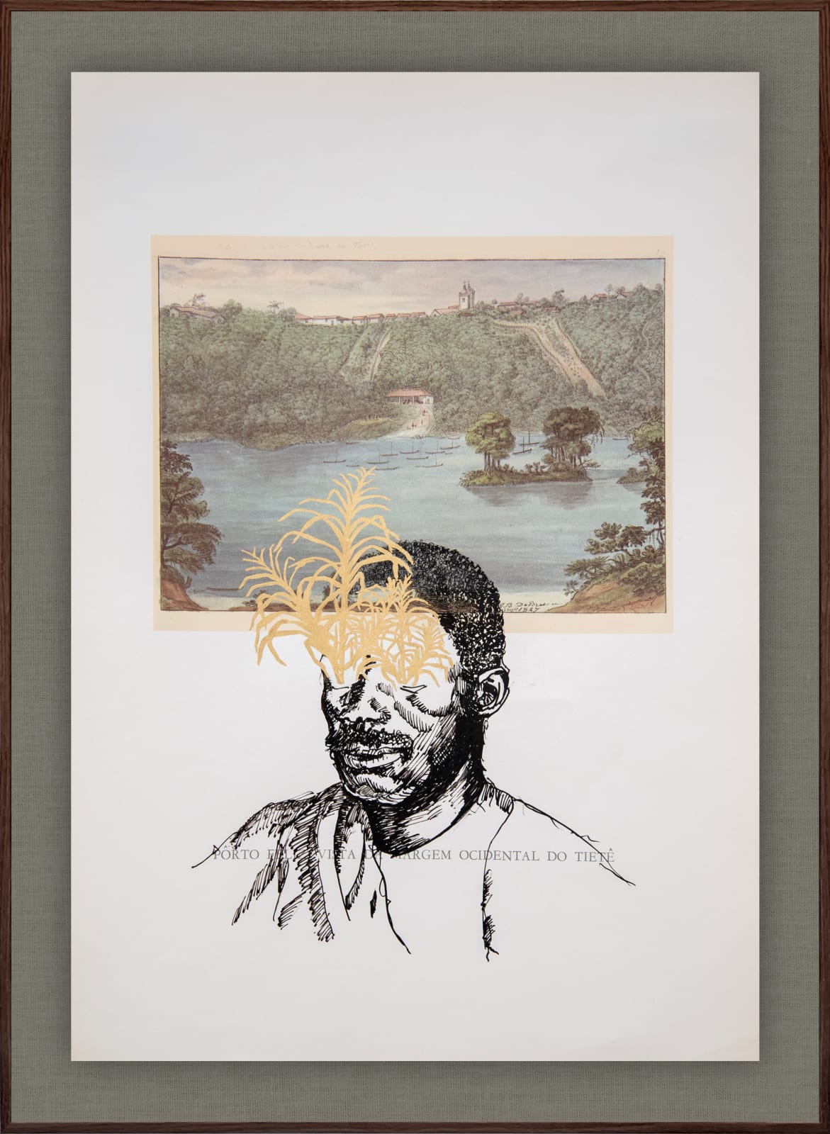 Cássio Markowski, #02 - Série Plantação , 2025