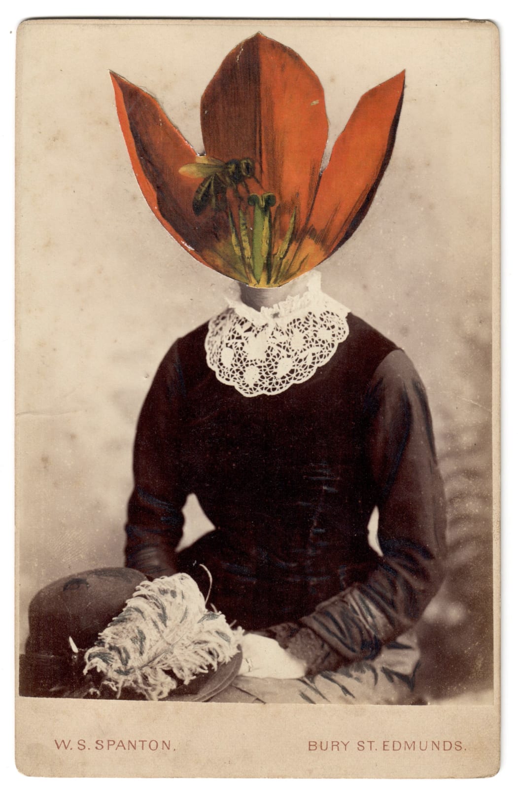 Alida Rodrigues, Tulip Schrenkii VI, 2020
