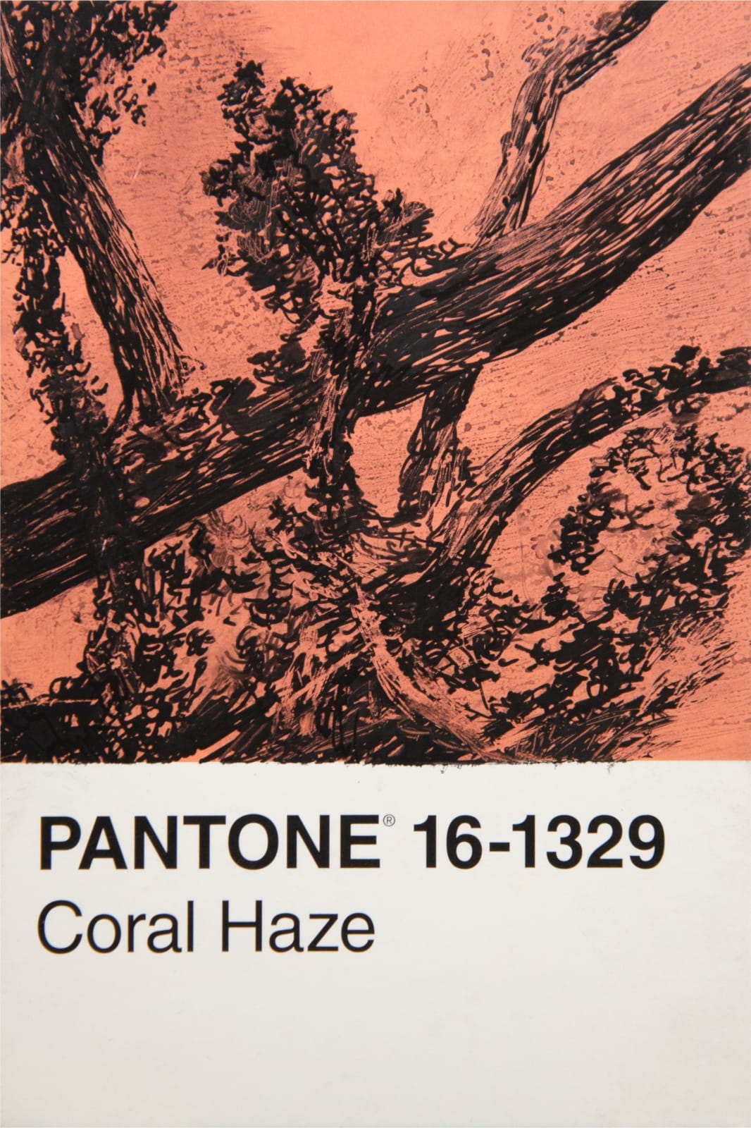 António Faria, PANTONE 16-1329 Coral Haze, 2024