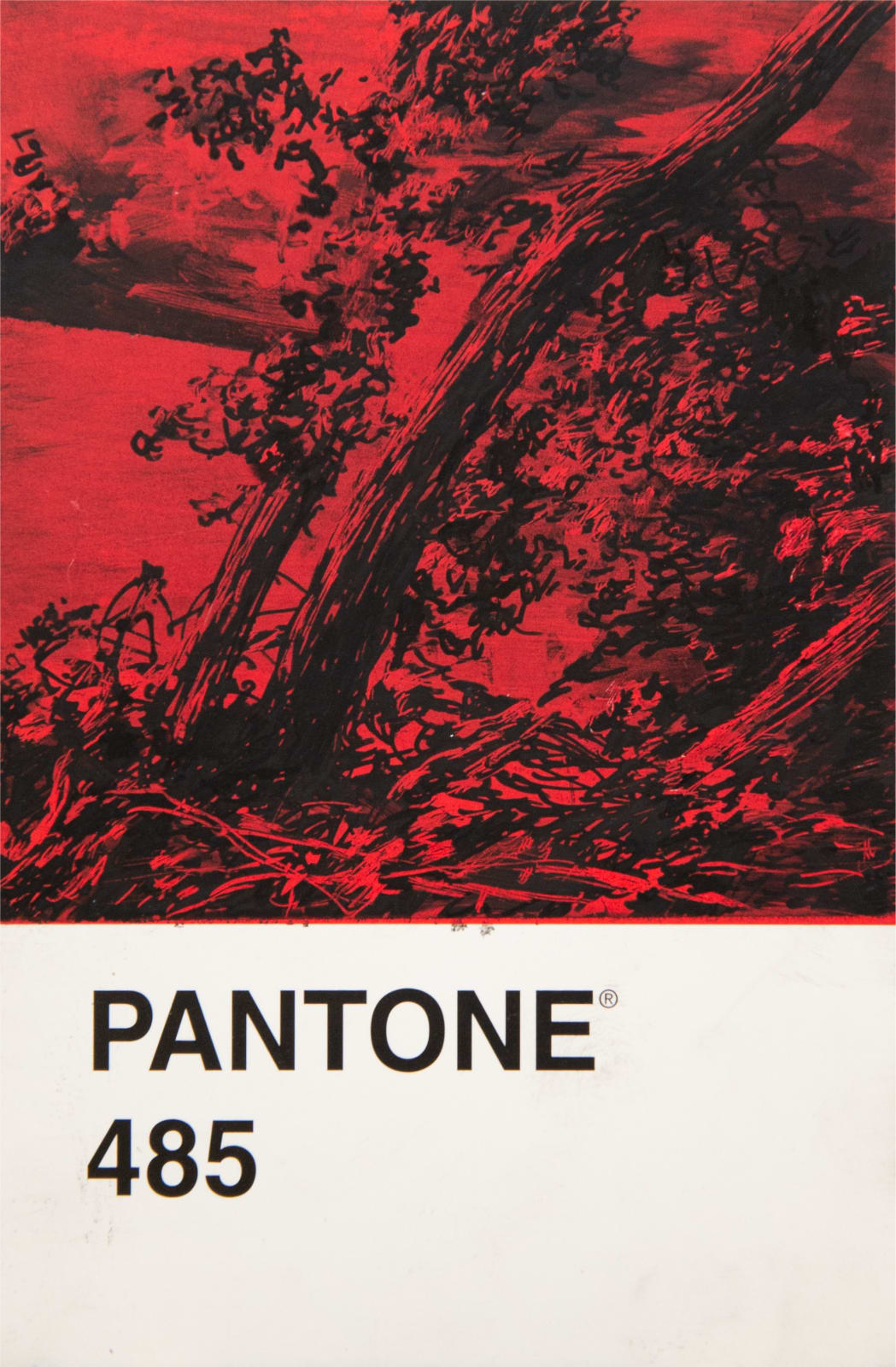 António Faria, PANTONE 485, 2024
