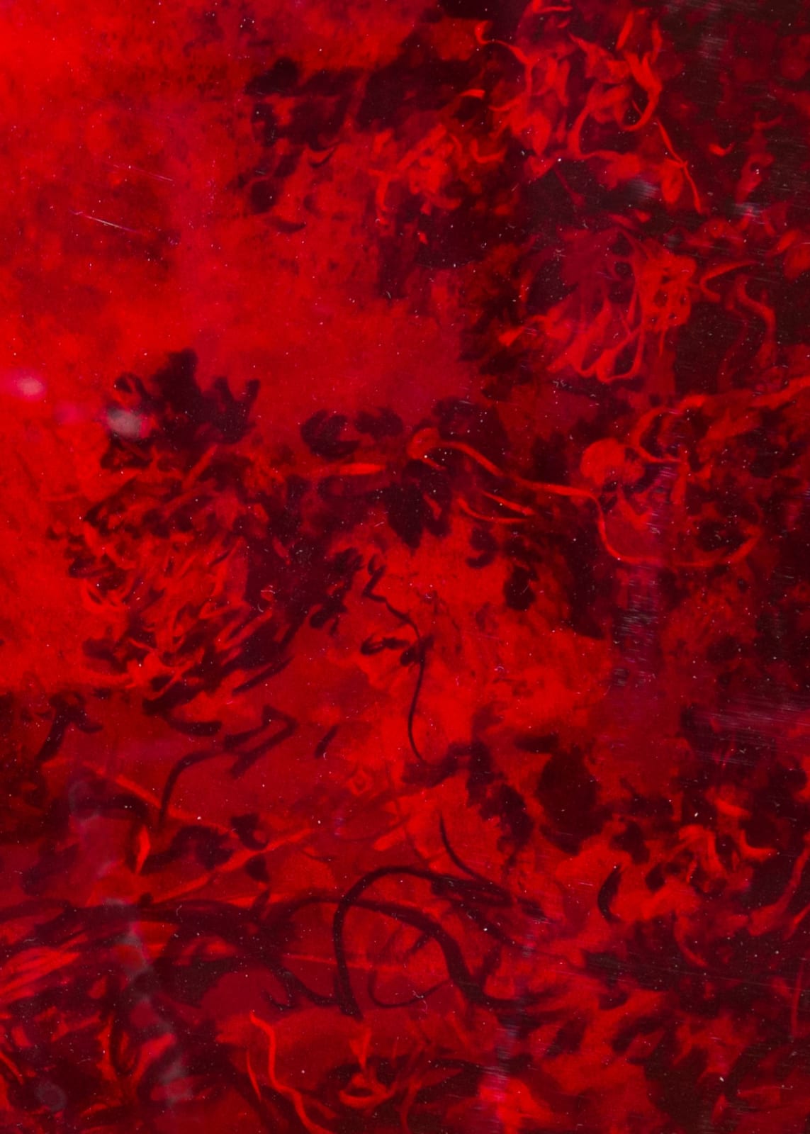 António Faria, A Fuga X, 2024