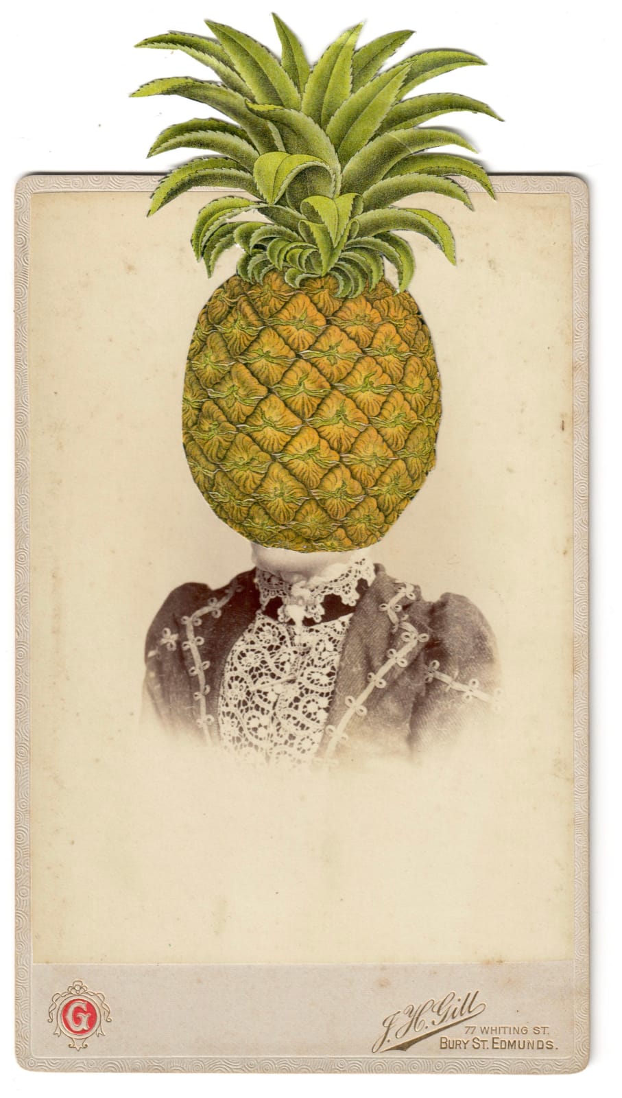 Alida Rodrigues, Ananas sativus Schult , 2020