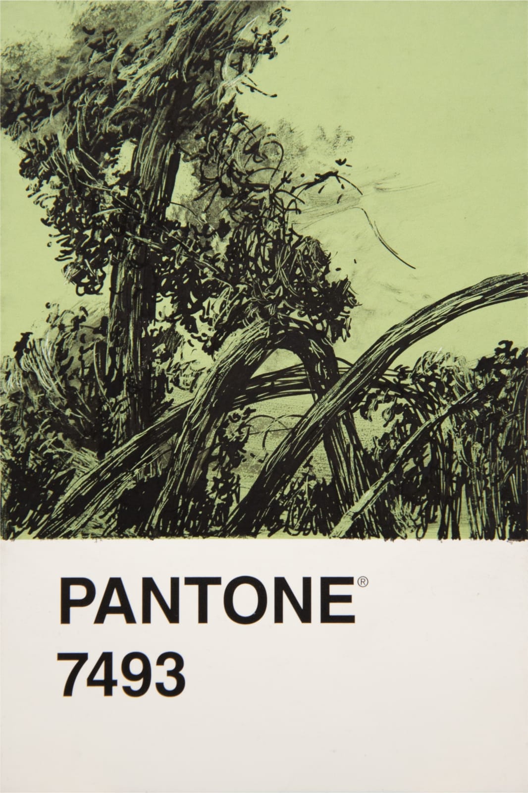 António Faria, PANTONE 7493, 2024