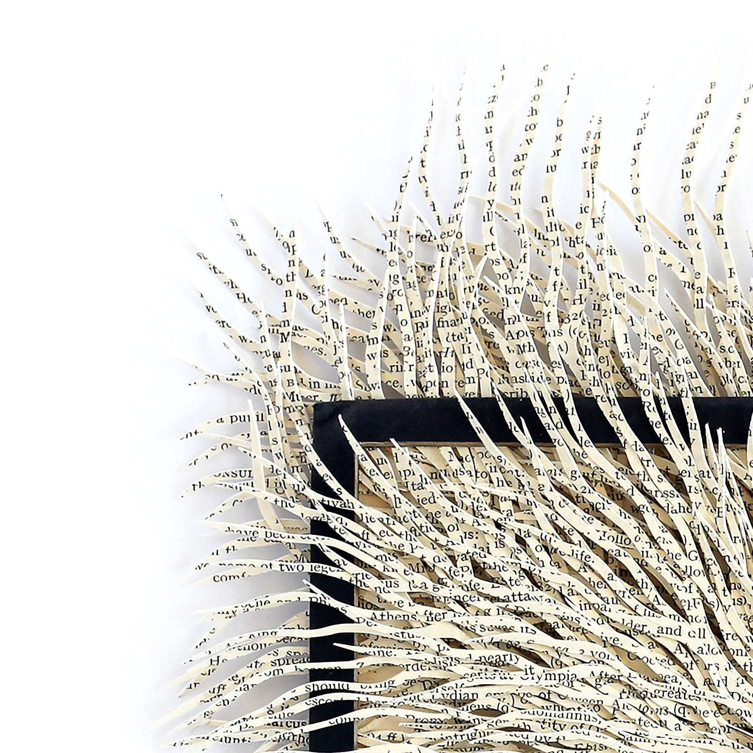 Barbara Wildenboer, Classical Dictionary, 2022