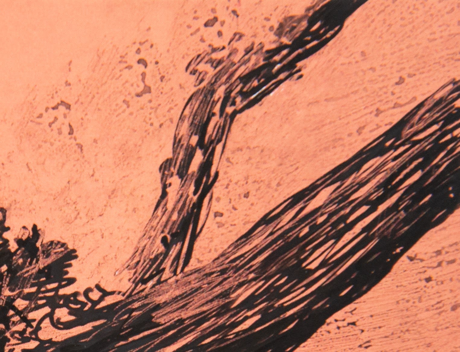 António Faria, PANTONE 16-1329 Coral Haze, 2024