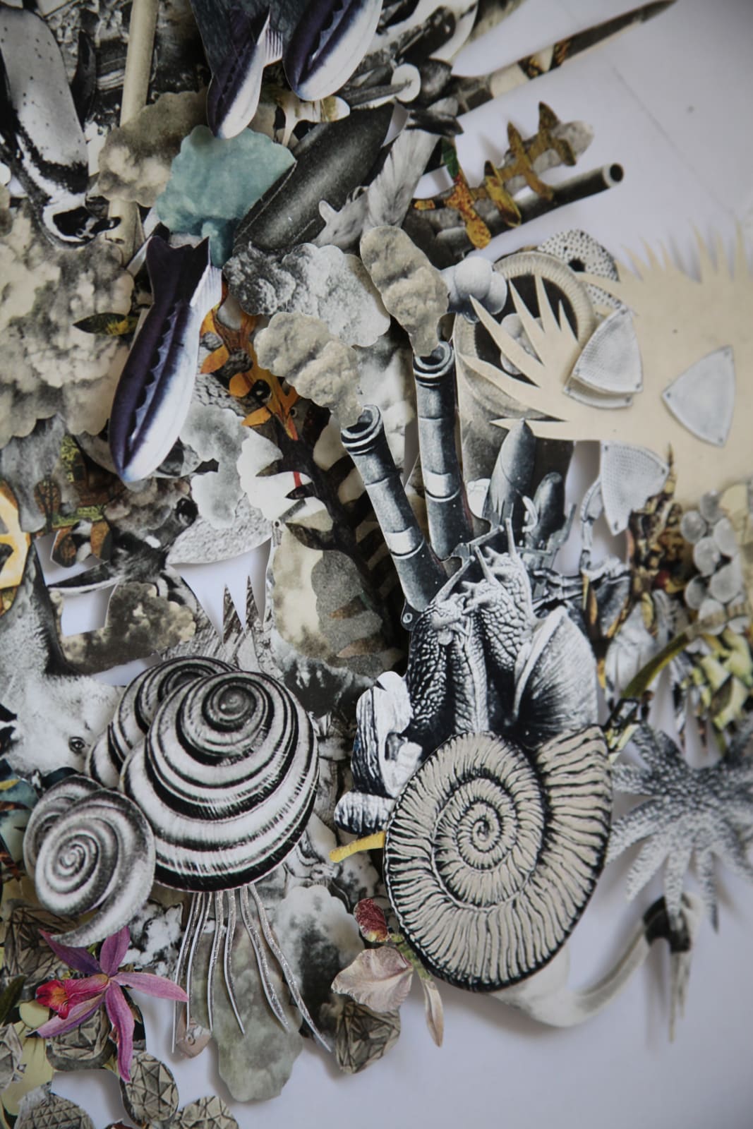 Barbara Wildenboer, Provenance II, 2022