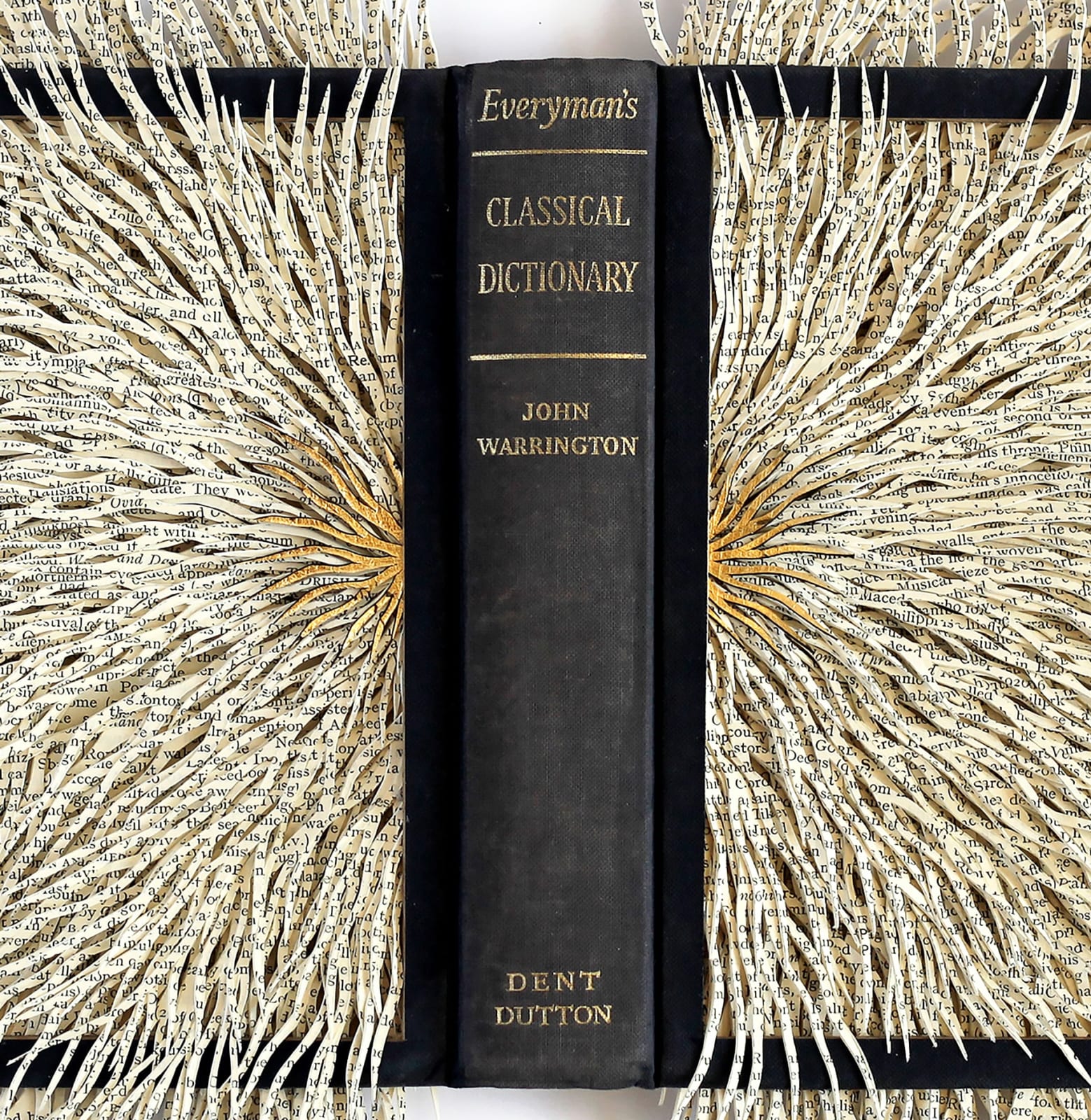 Barbara Wildenboer, Classical Dictionary, 2022