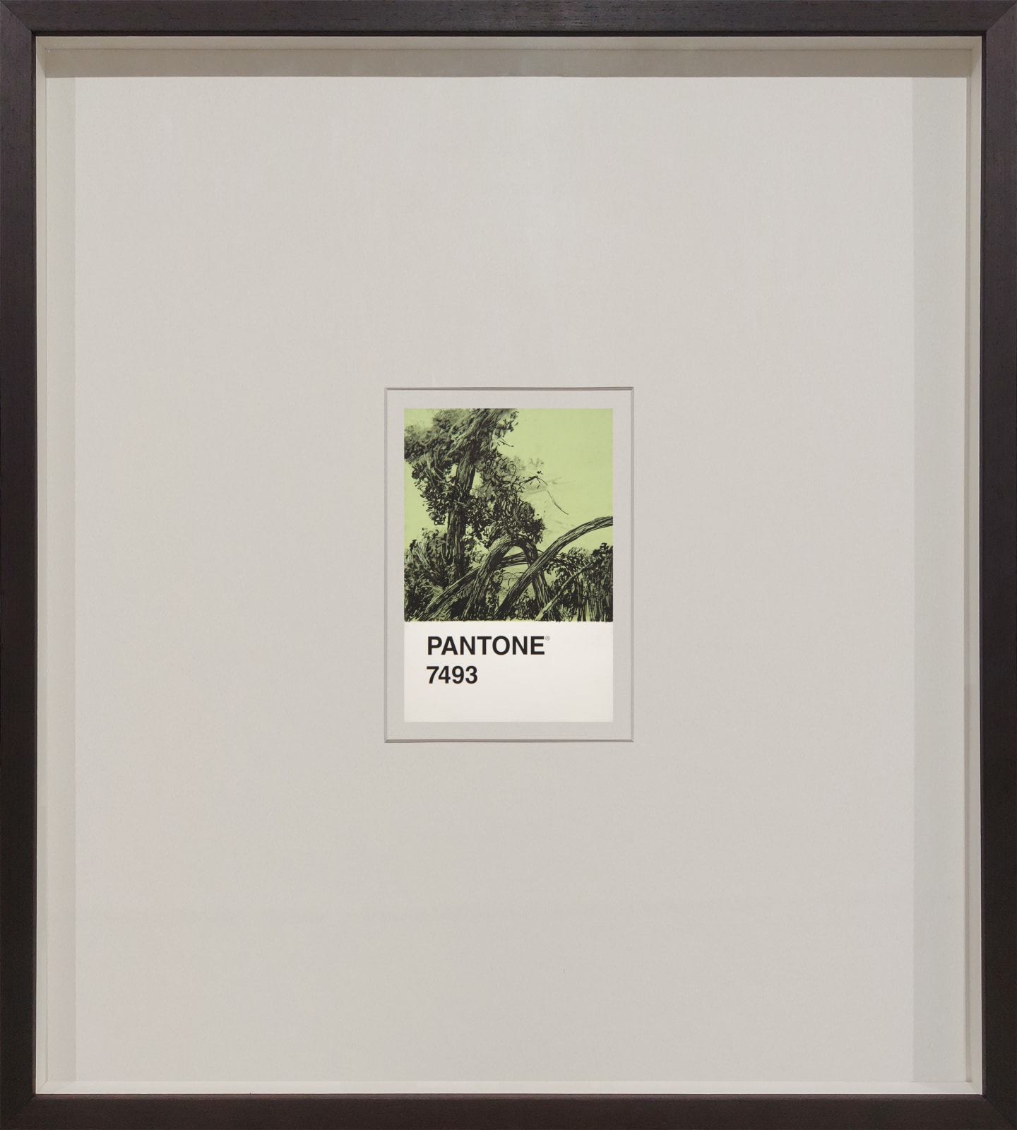 António Faria, PANTONE 7493, 2024