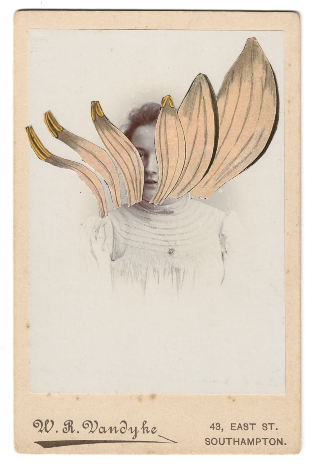 Alida Rodrigues, Nymphaeaceae, 2020