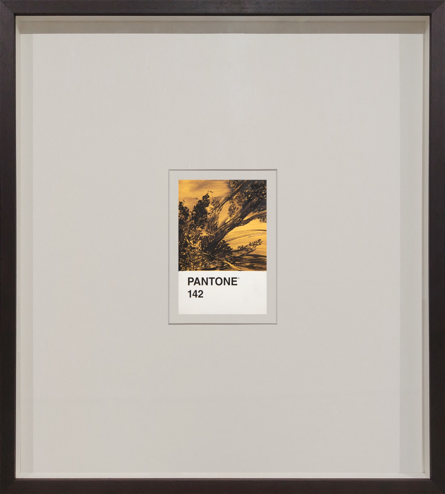 António Faria, PANTONE 142, 2024