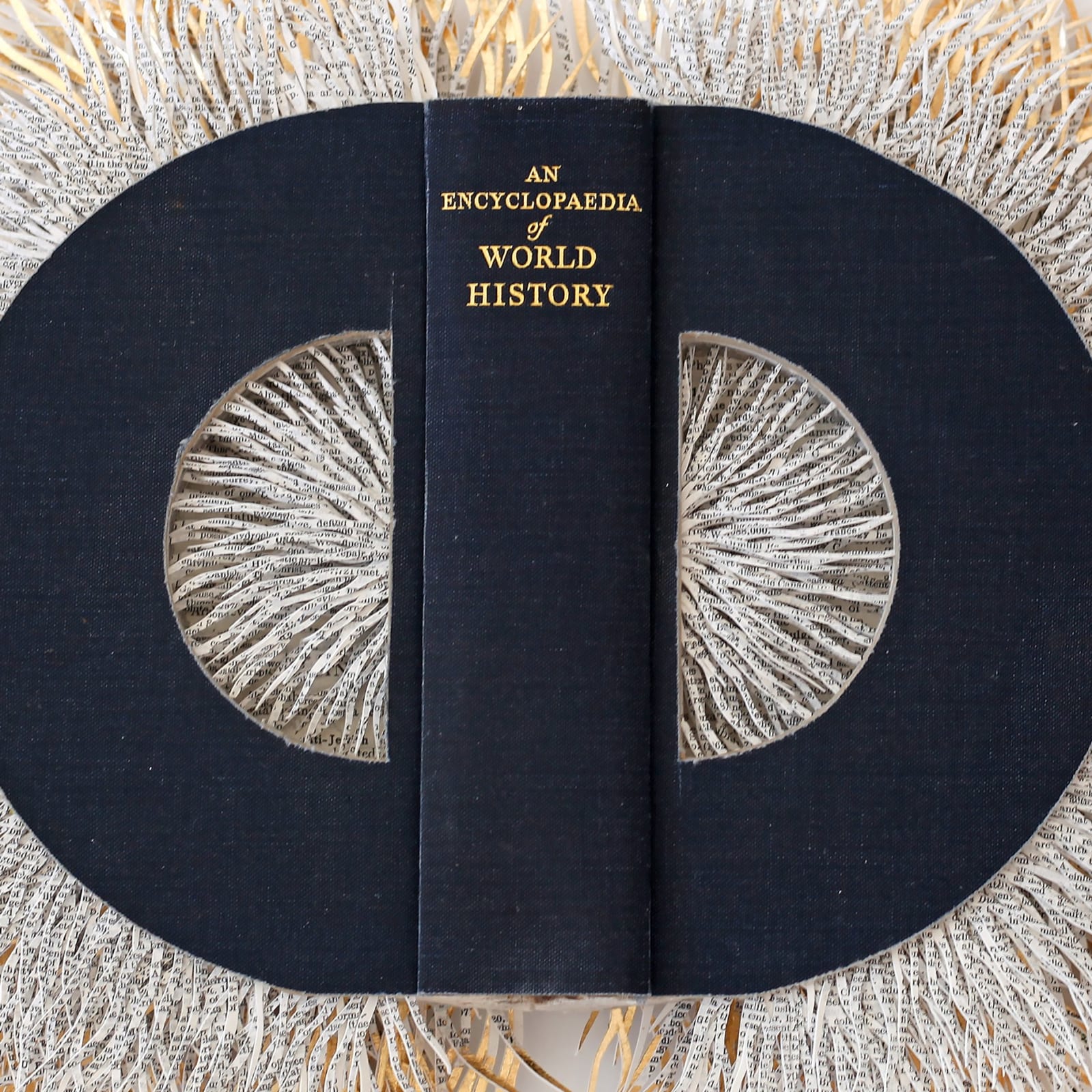 Barbara Wildenboer, An Encyclopaedia of World History, 2021