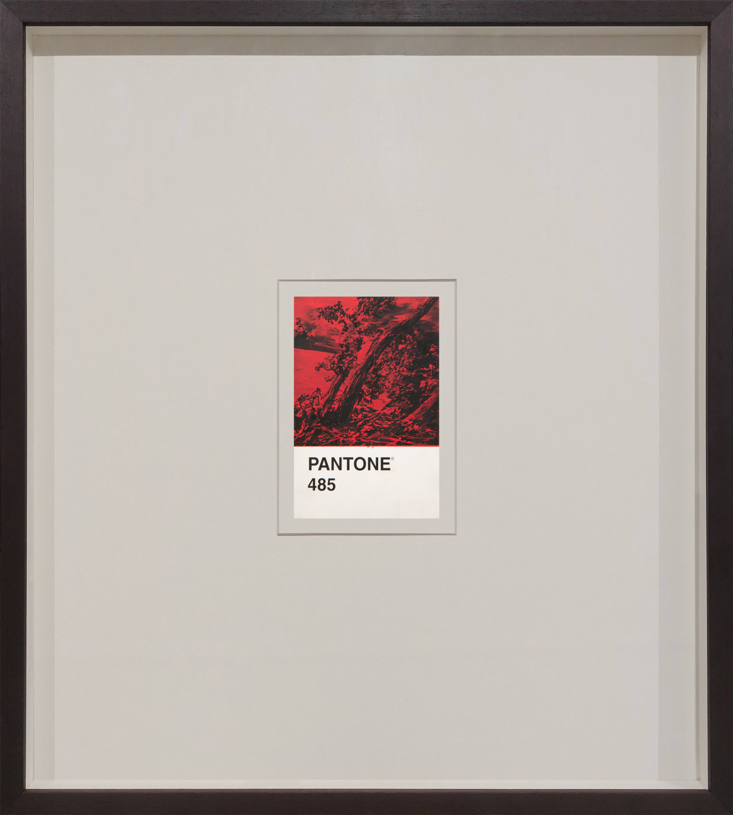 António Faria, PANTONE 485, 2024