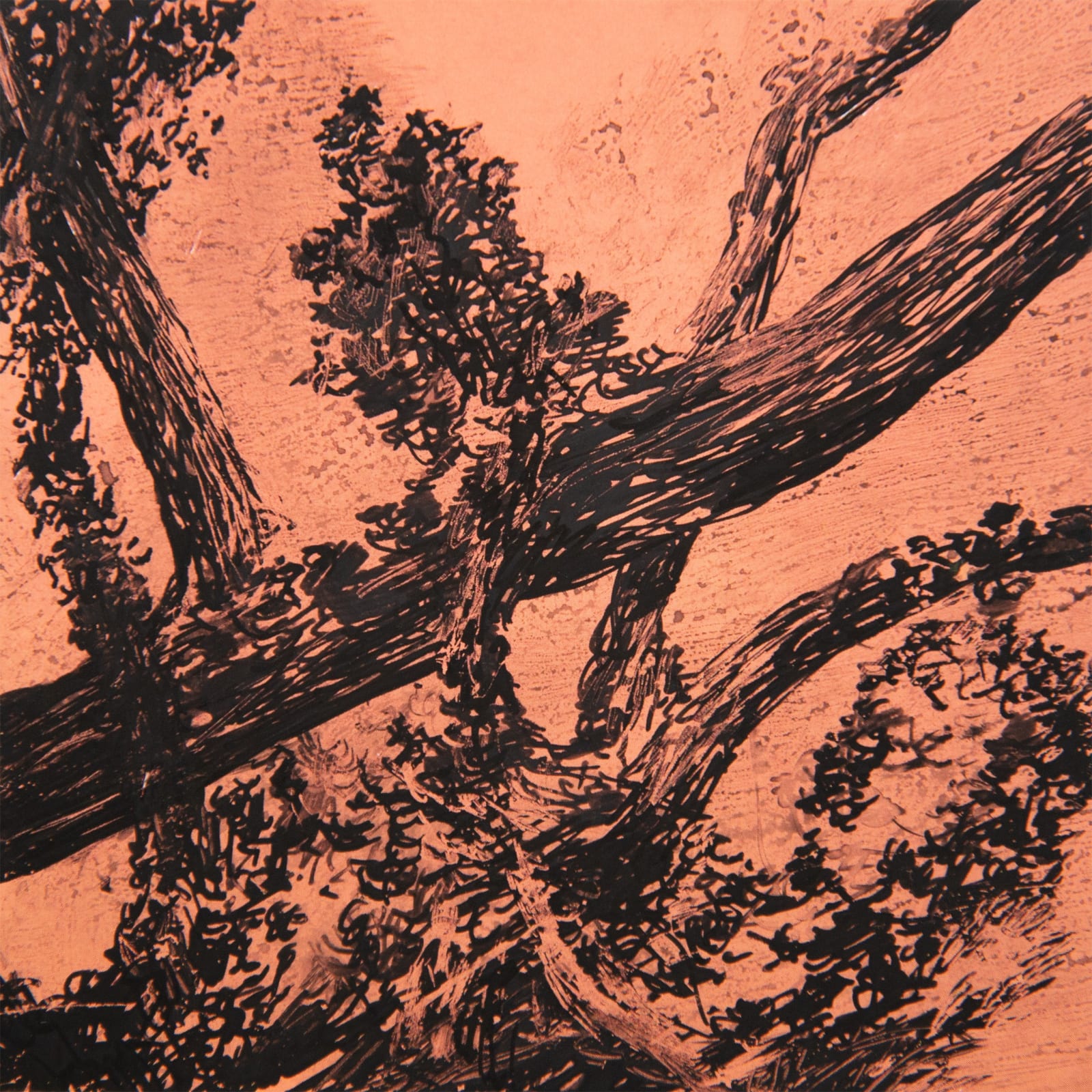 António Faria, PANTONE 16-1329 Coral Haze, 2024