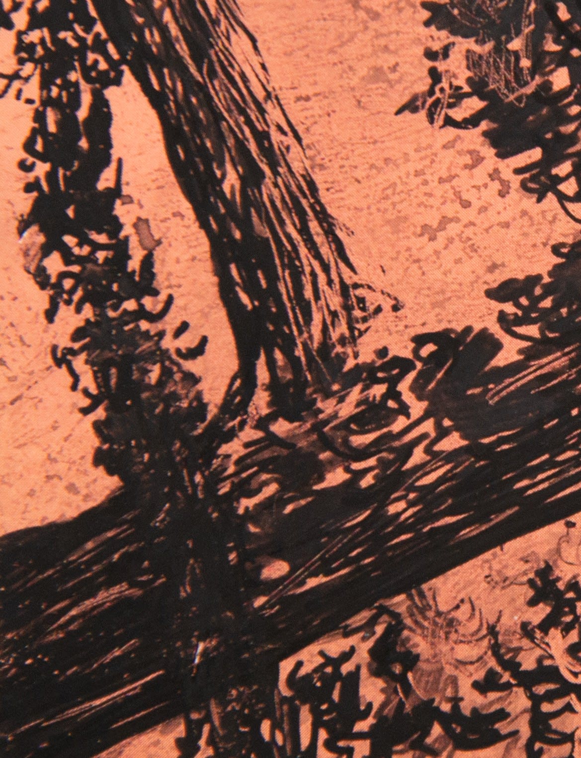 António Faria, PANTONE 16-1329 Coral Haze, 2024